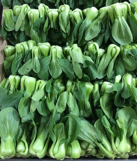 shanghai-baby-bok-choy by jcghk.dfhdjkvfj.cf