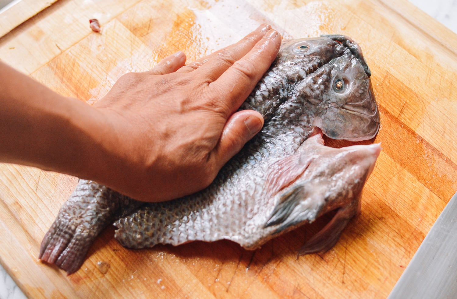 Steamed Tilapia: Hunan-Style Whole Fish, by jcghk.dfhdjkvfj.cf