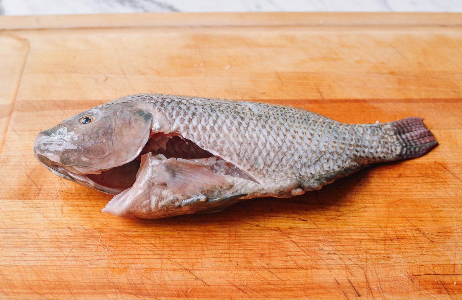 Steamed Tilapia: Hunan-Style Whole Fish, by jcghk.dfhdjkvfj.cf