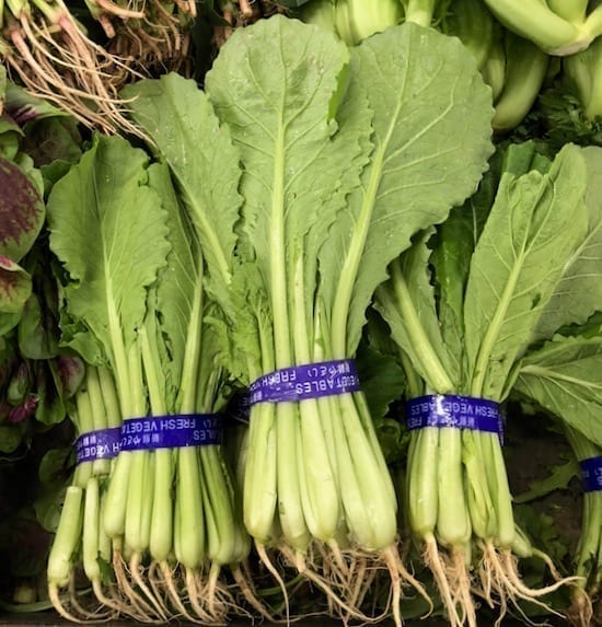 little bok choy (xiao-bai-cai) by jcghk.dfhdjkvfj.cf