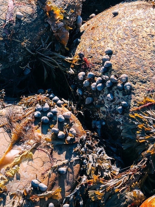Newfoundland Canada - The Rock by jcghk.dfhdjkvfj.cf