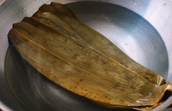 Bamboo Leaves, by jcghk.dfhdjkvfj.cf