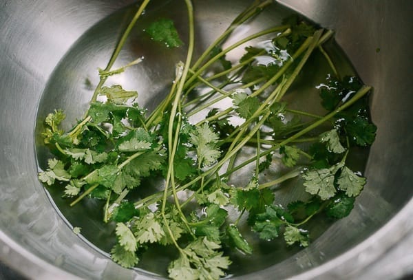 Chinese Shrimp Cakes, by jcghk.dfhdjkvfj.cf