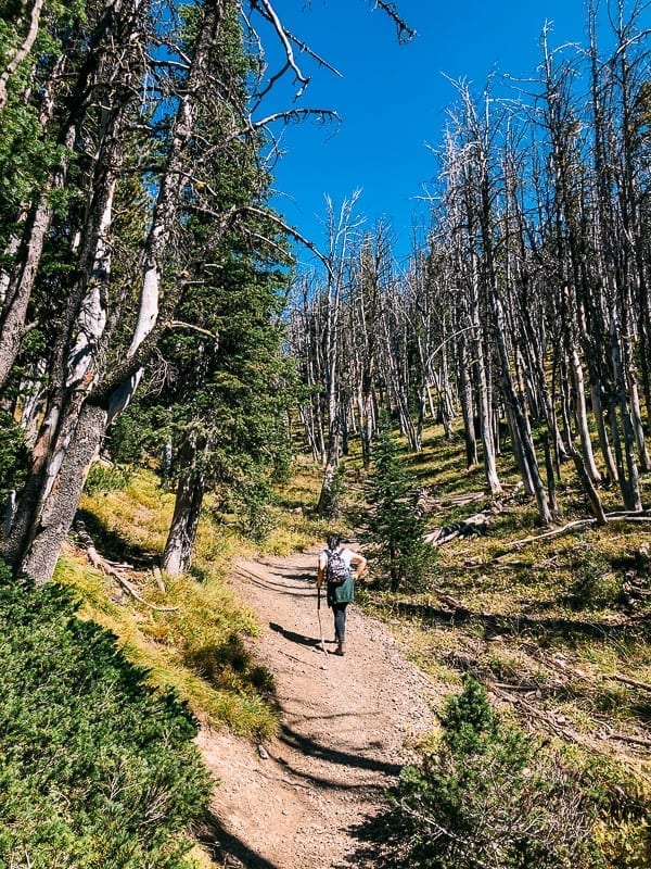 Avalanche Peak Hike, jcghk.dfhdjkvfj.cf