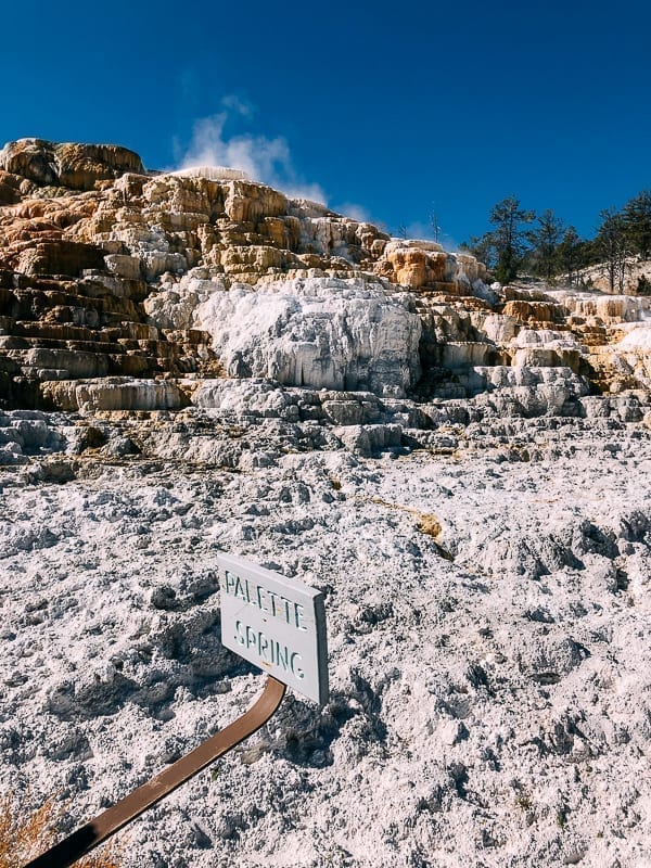 Palette Spring, Yellowstone, jcghk.dfhdjkvfj.cf
