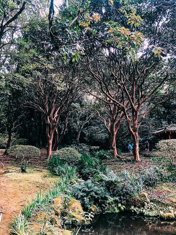 Byodo In Temple Gardens, jcghk.dfhdjkvfj.cf