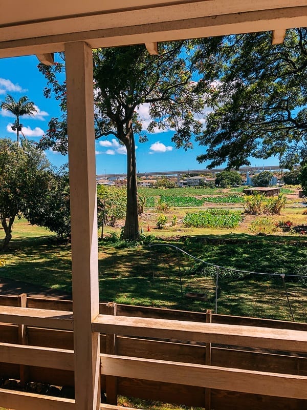 Hawaii Planation Village outside, jcghk.dfhdjkvfj.cf