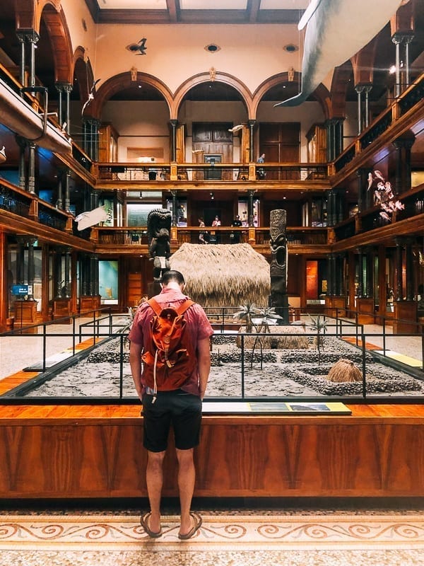 Bishop Museum Interior, jcghk.dfhdjkvfj.cf