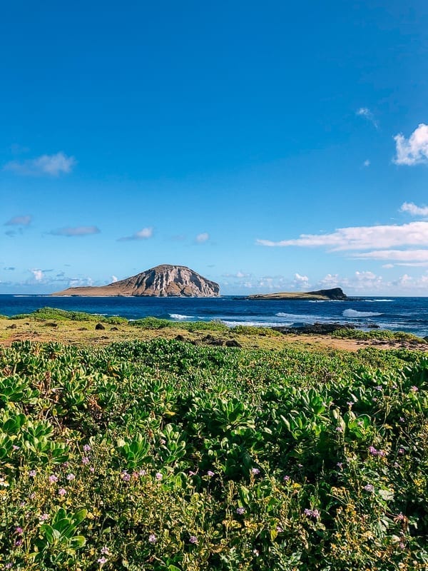 View from Makapu'u, jcghk.dfhdjkvfj.cf