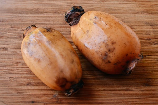 Lotus Root, jcghk.dfhdjkvfj.cf