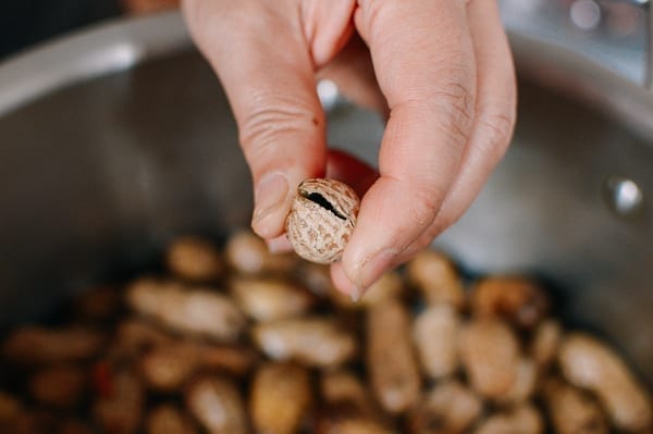 Cracking peanut shell open, jcghk.dfhdjkvfj.cf