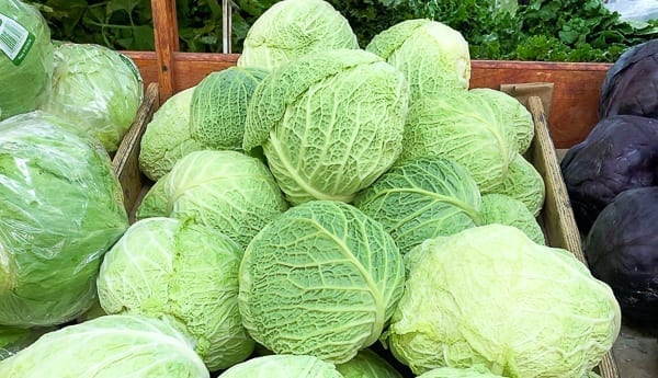 Savoy cabbage at market, jcghk.dfhdjkvfj.cf