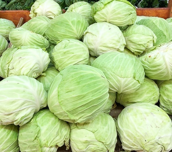 Taiwanese flat cabbage, jcghk.dfhdjkvfj.cf