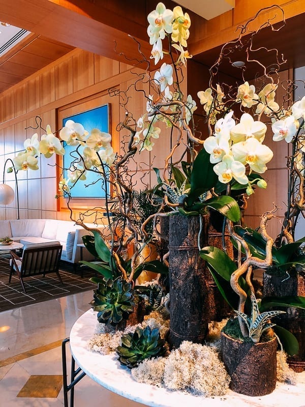 Four Seasons Miami Lobby, jcghk.dfhdjkvfj.cf