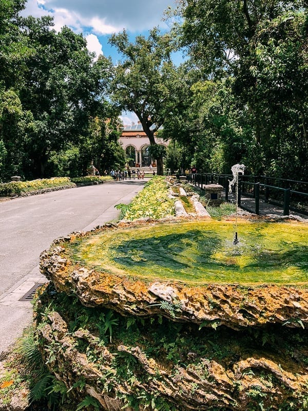Vizcaya Museum Driveway, jcghk.dfhdjkvfj.cf