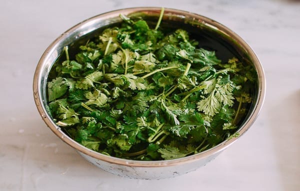Soaking cilantro in water, jcghk.dfhdjkvfj.cf