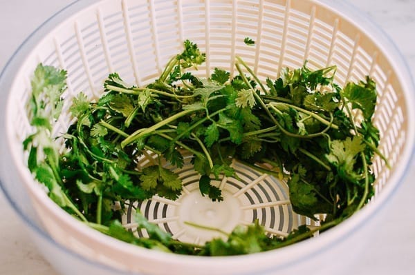 Cilantro in salad spinner, jcghk.dfhdjkvfj.cf