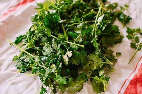 Drying cilantro with clean towel, jcghk.dfhdjkvfj.cf