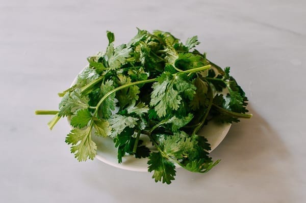 Clean cilantro on a plate, jcghk.dfhdjkvfj.cf