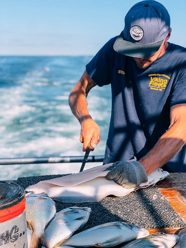 Filleting fluke on boat, jcghk.dfhdjkvfj.cf