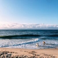 Dogs running on beach, jcghk.dfhdjkvfj.cf