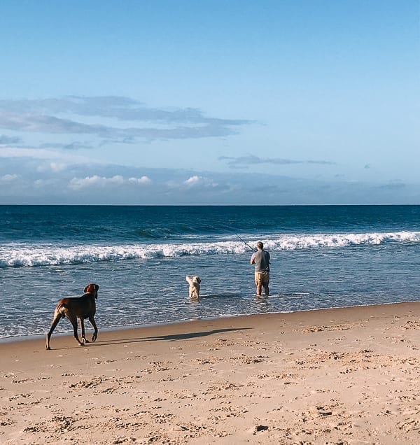 Surf fishing with dogs, jcghk.dfhdjkvfj.cf
