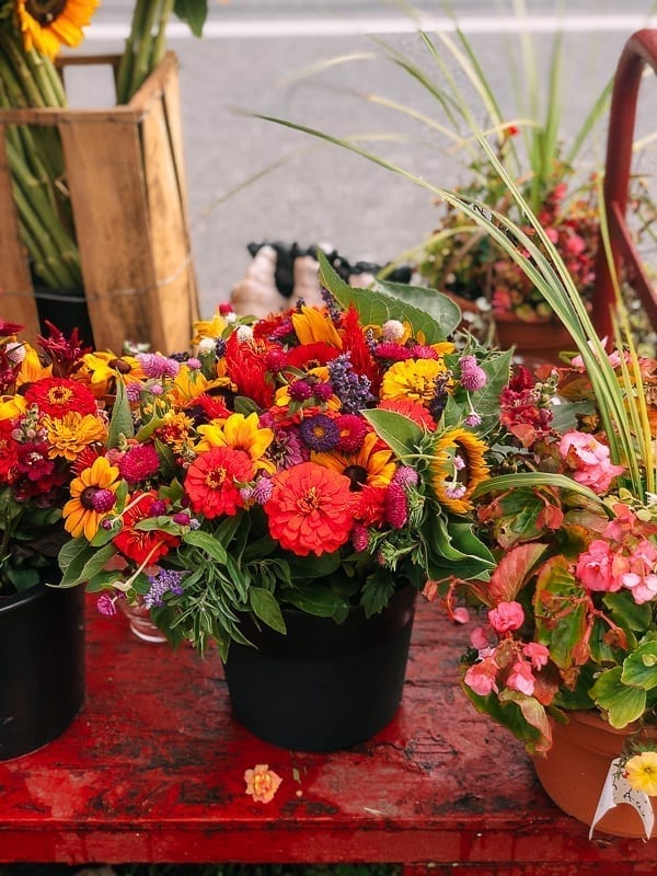 Hamptons Farm Stand Flowers, jcghk.dfhdjkvfj.cf