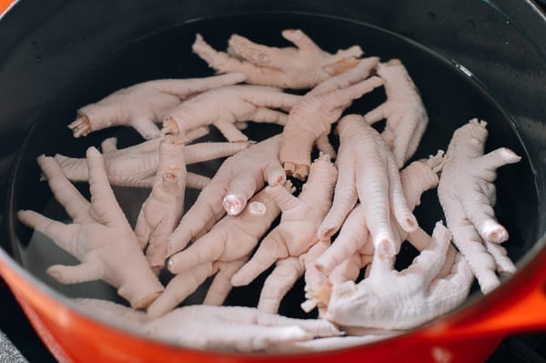 Chicken feet in pot with water, jcghk.dfhdjkvfj.cf