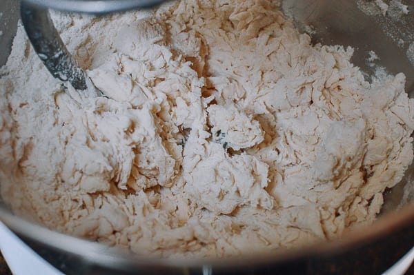 Flour, water, and salt forming very shaggy dough in mixer, jcghk.dfhdjkvfj.cf