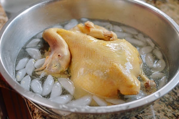 Poached chicken in ice water, jcghk.dfhdjkvfj.cf