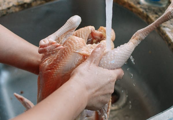 Rinsing chicken cavity, jcghk.dfhdjkvfj.cf