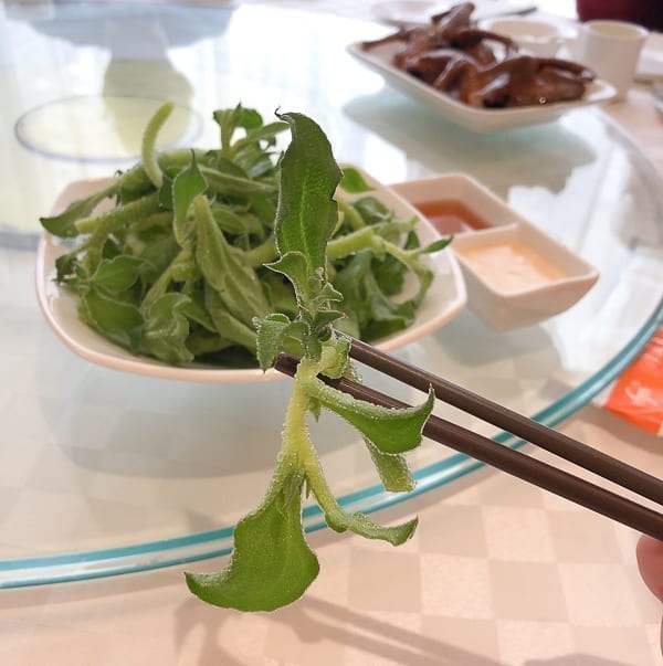 Bing Cao ice vegetable on a chopstick by jcghk.dfhdjkvfj.cf