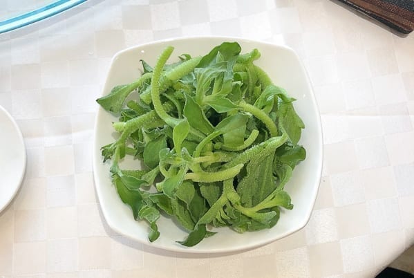 Bing Cao ice vegetable on a plate by jcghk.dfhdjkvfj.cf
