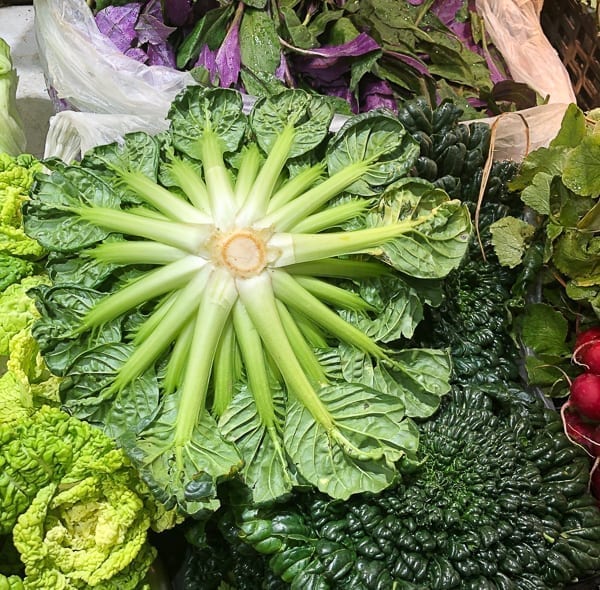 Bottom of Tatsoi leafy green Chinese vegetable by jcghk.dfhdjkvfj.cf