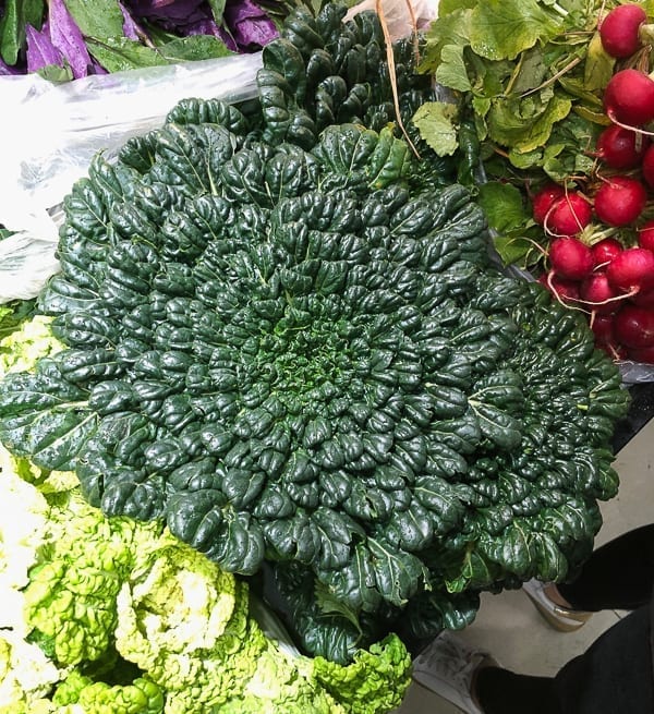 Chinese leafy green, jcghk.dfhdjkvfj.cf