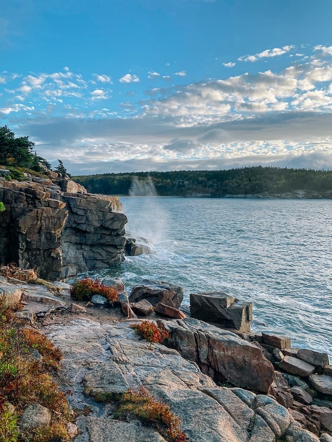 Shoreline along Ocean Path in Acadia, jcghk.dfhdjkvfj.cf