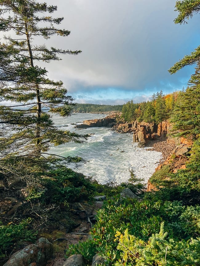Shoreline along Ocean Path in Acadia, jcghk.dfhdjkvfj.cf