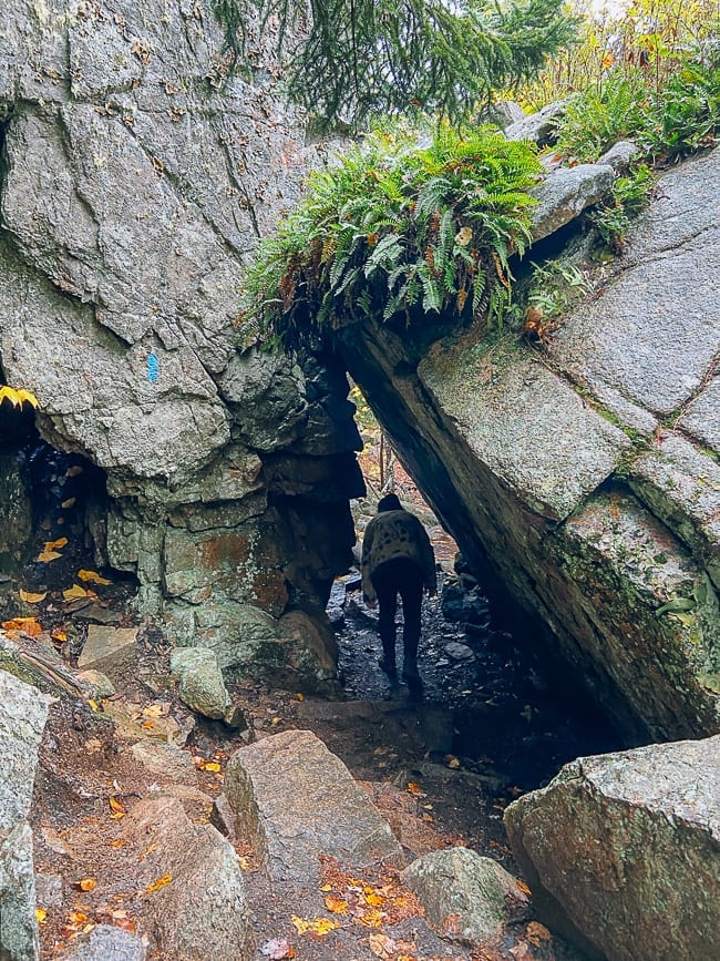Cadillac Cliffs spur trail in Acadia National Park, jcghk.dfhdjkvfj.cf