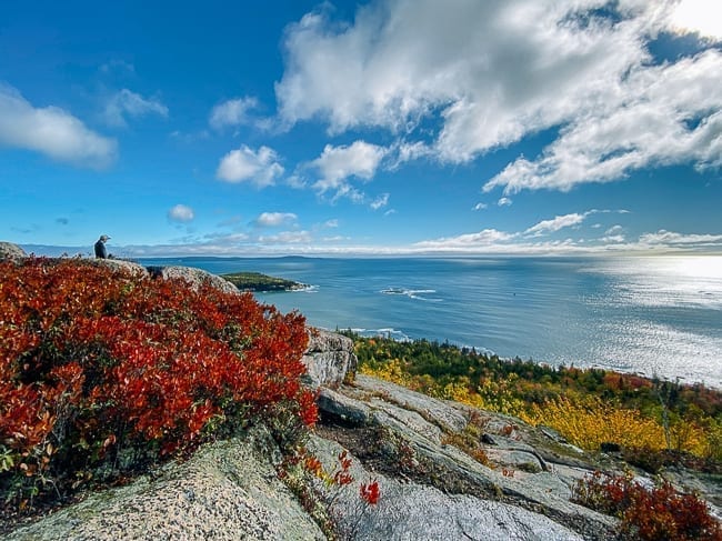View from summit of Gorham Mountain, jcghk.dfhdjkvfj.cf