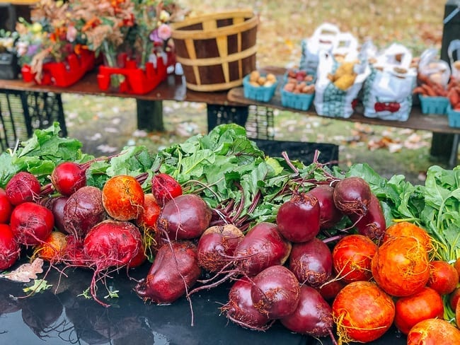 Beets at Porland Maine Farmer's Market, jcghk.dfhdjkvfj.cf