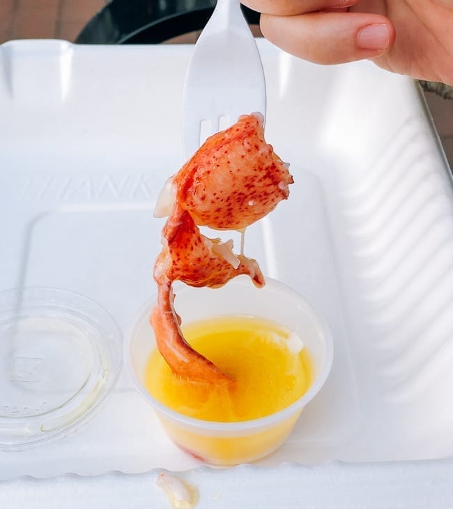 Dipping lobster into cup of butter, jcghk.dfhdjkvfj.cf