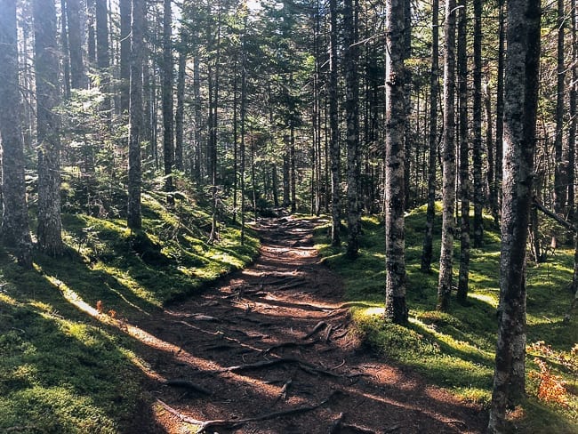 Hike through forest in Barred Island Preserve, jcghk.dfhdjkvfj.cf
