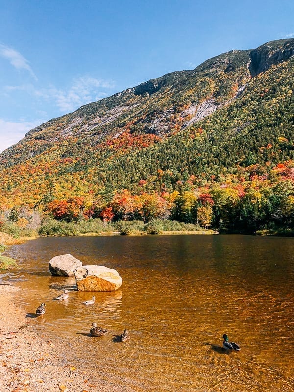 Saco River in Fall, jcghk.dfhdjkvfj.cf