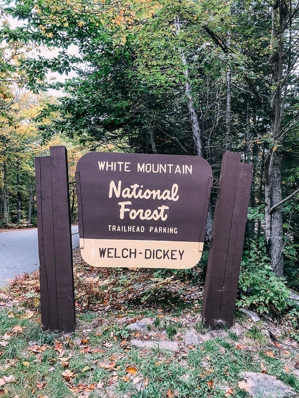 White Mountain National Forest Welch Dickey Trailhead Sign, jcghk.dfhdjkvfj.cf