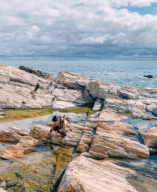 Kaitlin looking at tide pools in Maine, jcghk.dfhdjkvfj.cf