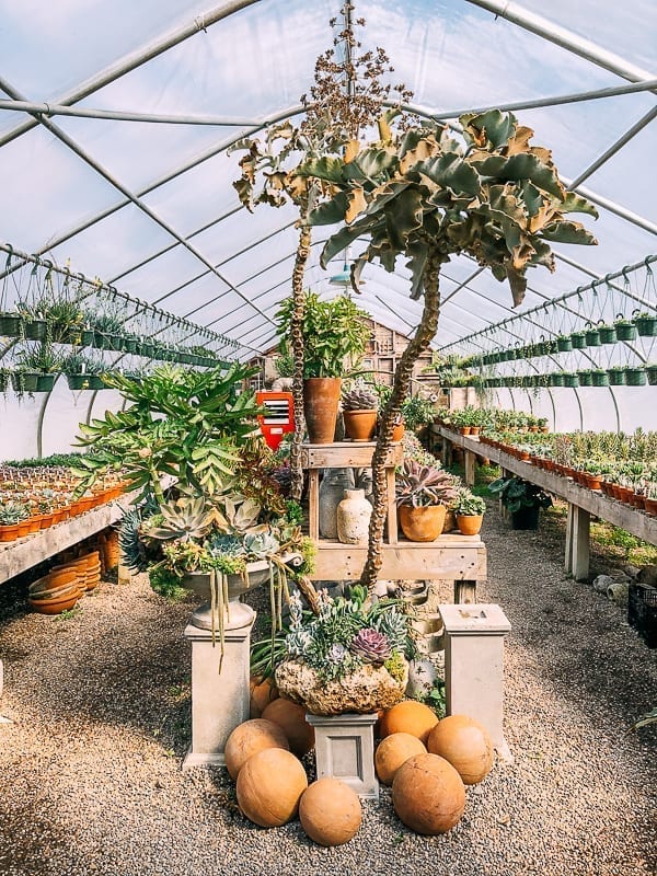 Greenhouse at Snug Harbor Farm, jcghk.dfhdjkvfj.cf