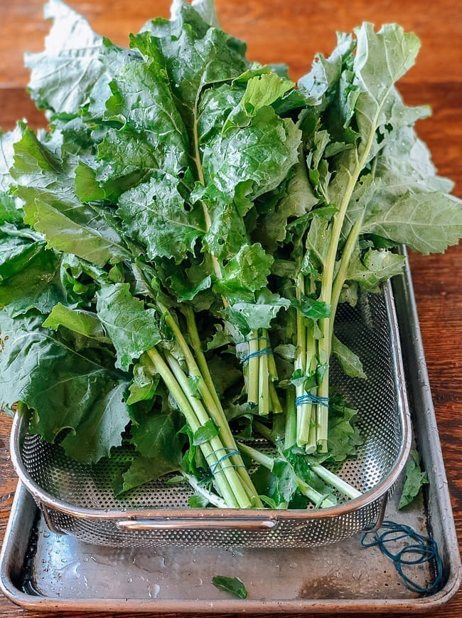 Greens tied into bundles, jcghk.dfhdjkvfj.cf