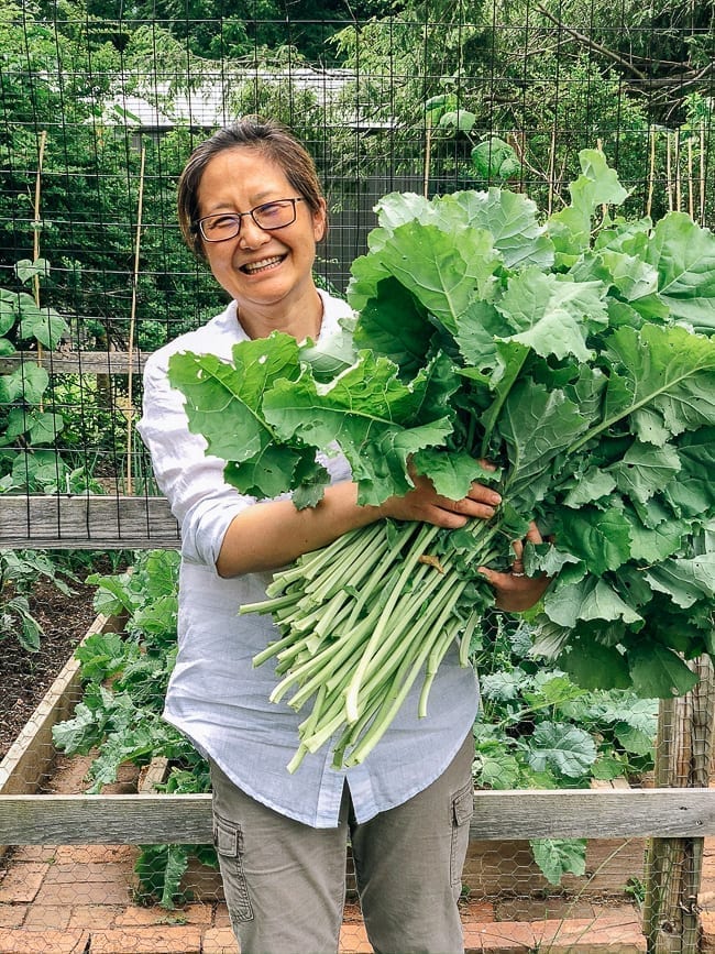 Judy with kale harvest, jcghk.dfhdjkvfj.cf