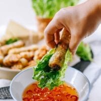 Vietnamese Cha Gio, jcghk.dfhdjkvfj.cf