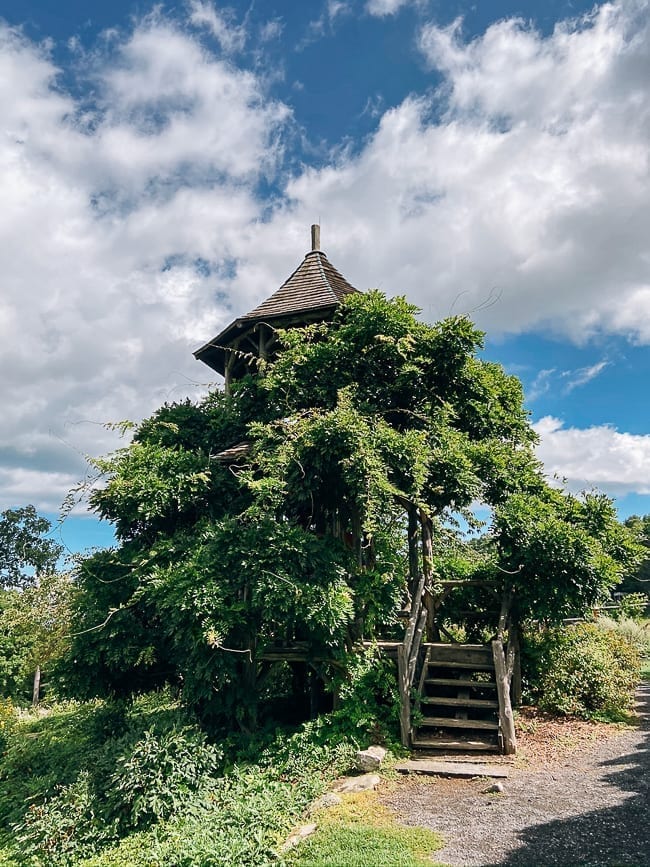 Mohonk Mountain House Wisteria covered tree house, jcghk.dfhdjkvfj.cf 